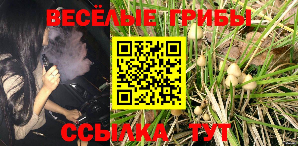 Псилоцибиновые грибы прущие грибы Ступино