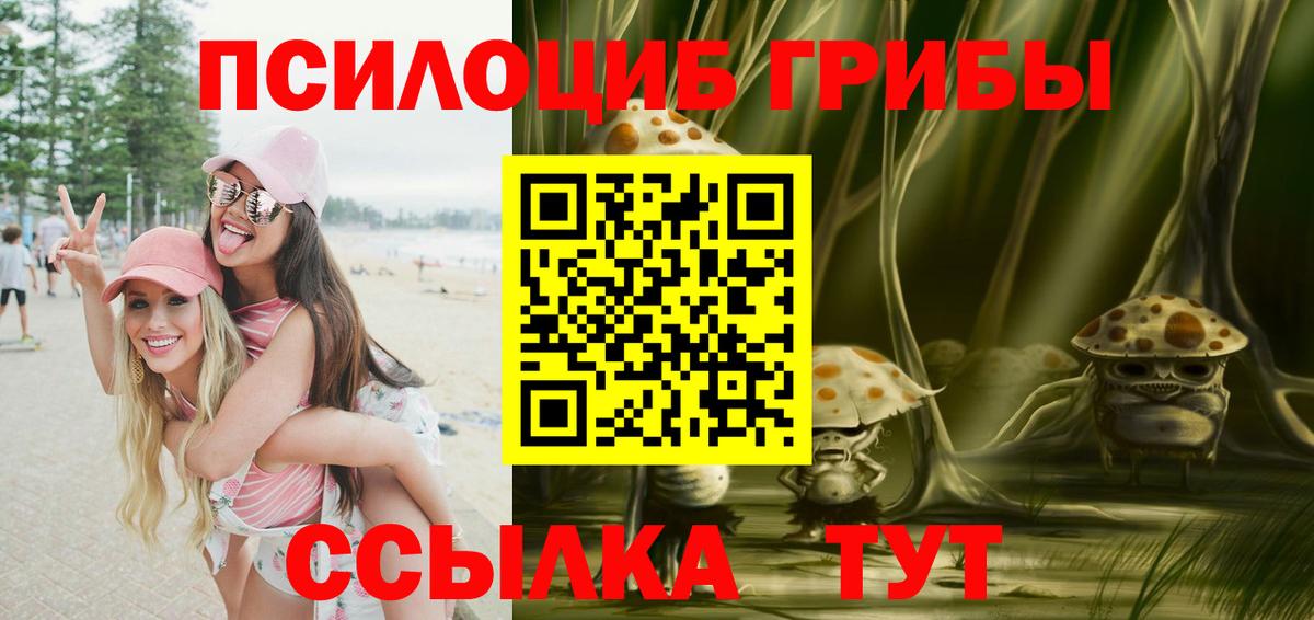 Ступино  цены   Вход с VPN  Галлюциногенные грибы мицелий 